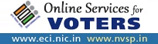 online-service-voters